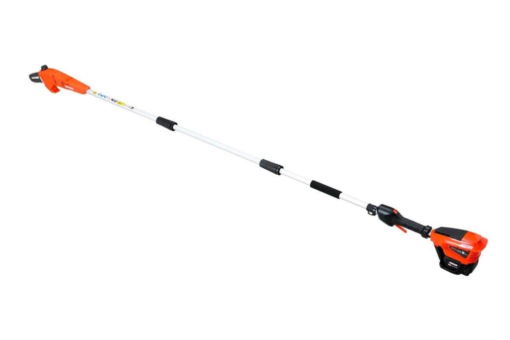 Potatore a batteria Echo DPPF-310 40V