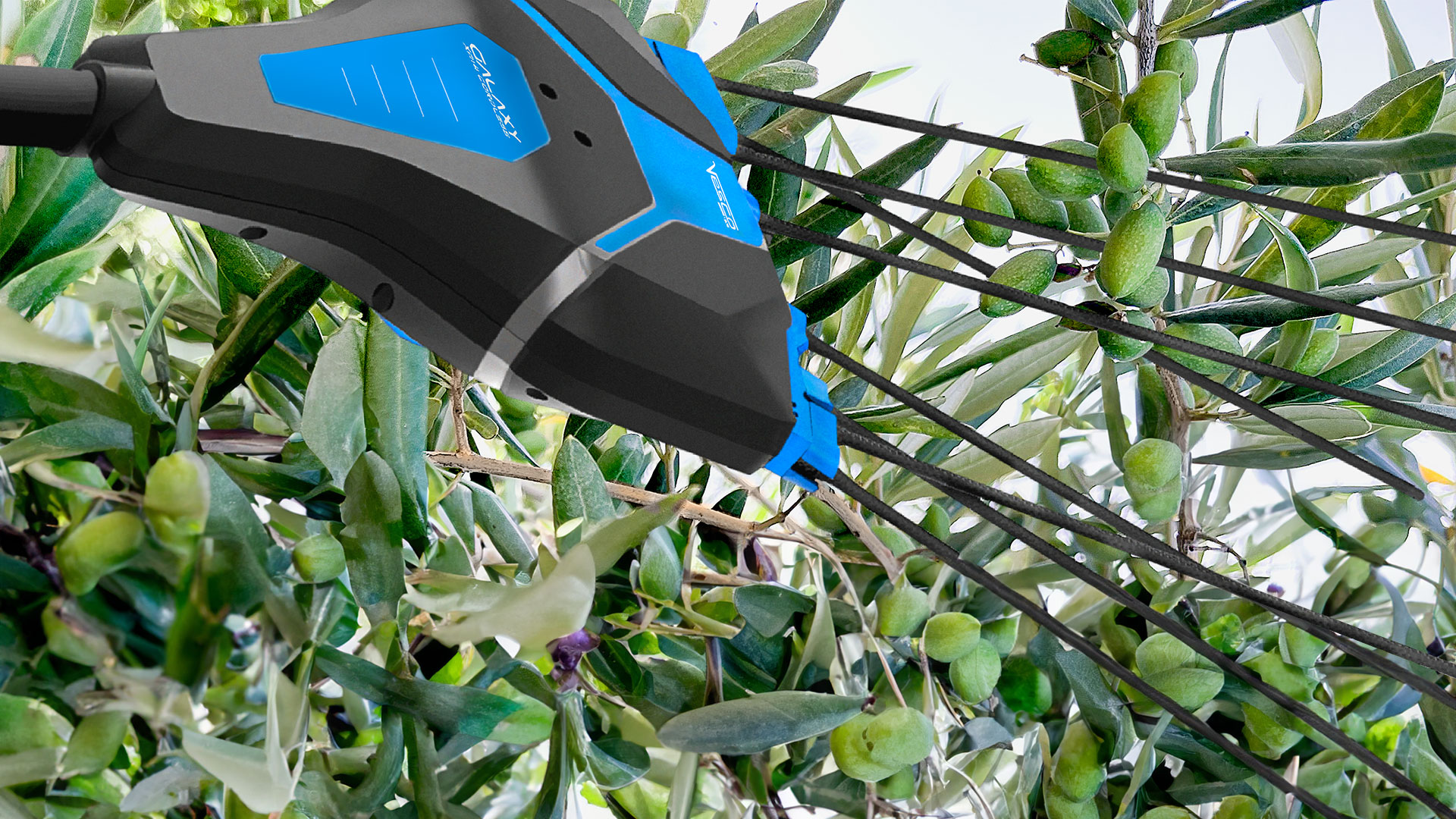 GALAXY XR21 – Abbacchiatore Cordless Professionale VESCO