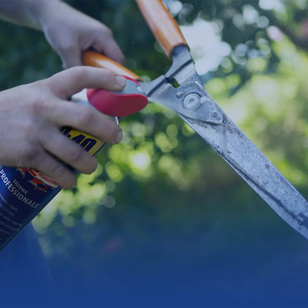 WD-40 500ml – Prodotto Multifunzione Doppia Posizione