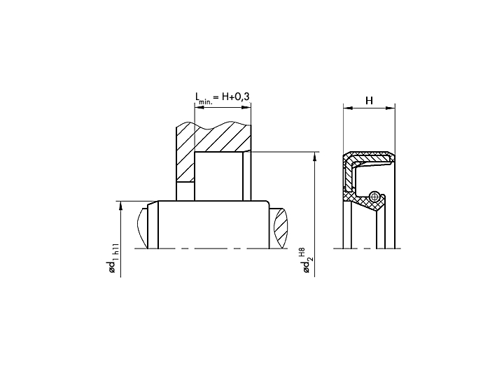 12X22X4,5-A-FPM – Paraolio VITON