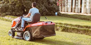 Snapper RTX102X Trattorino rasaerba con raccolta