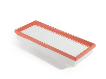 Fiaam PA7732 Filtro Aria Smart Fortwo 451