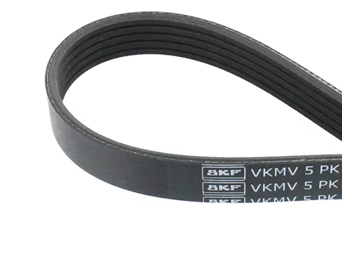 VKMV 5PK1195 SKF – Cinghia Poly-V V-Ribbed 5 Nervature